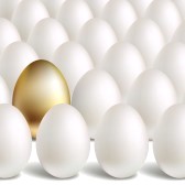 14799969-gold-egg-concept-white-and-unique-golden-eggs